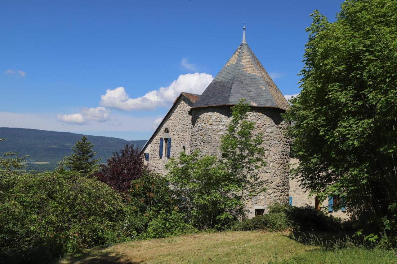 Chateau De Sothonod Luaran gambar