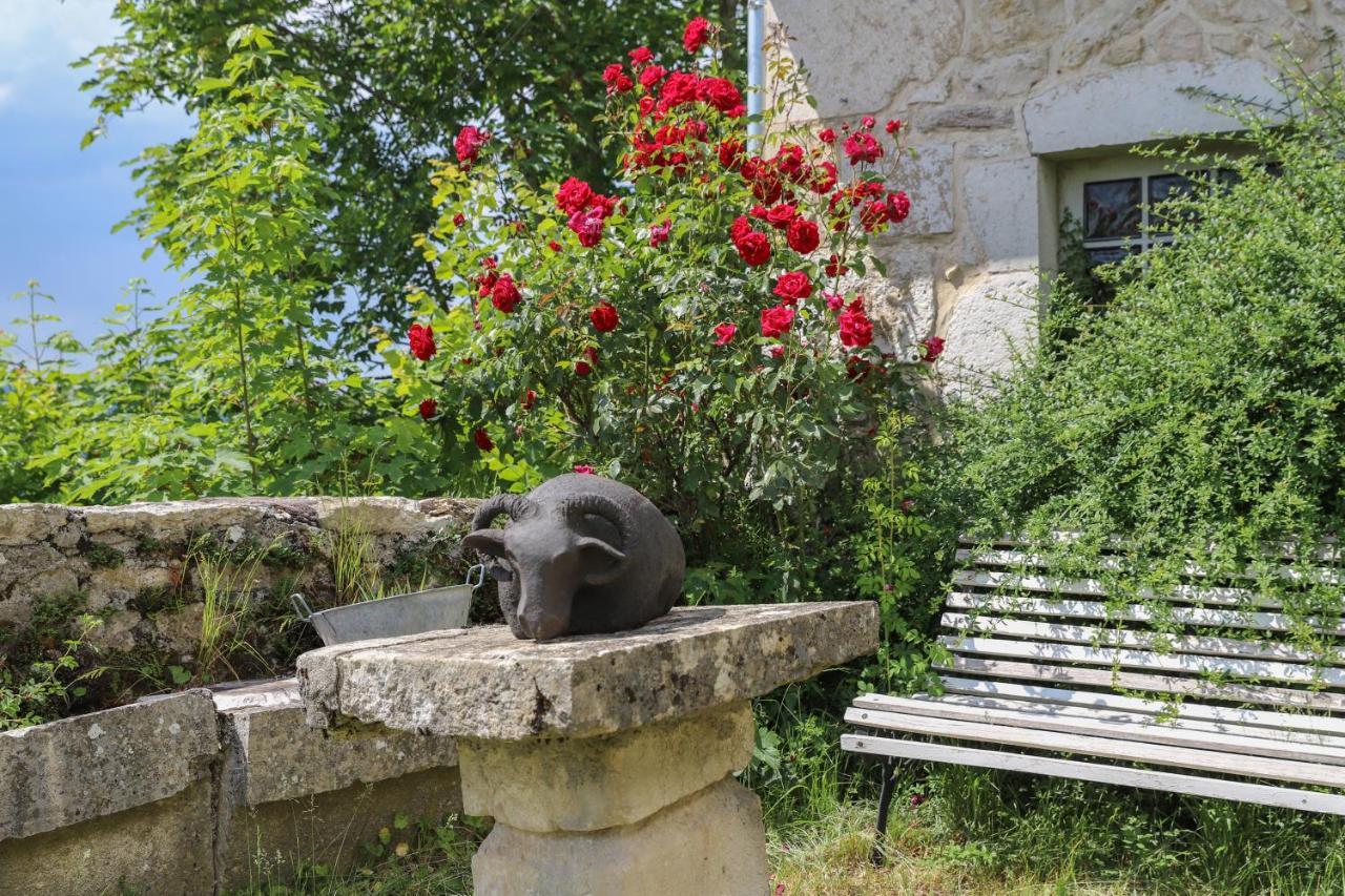 Chateau De Sothonod Luaran gambar