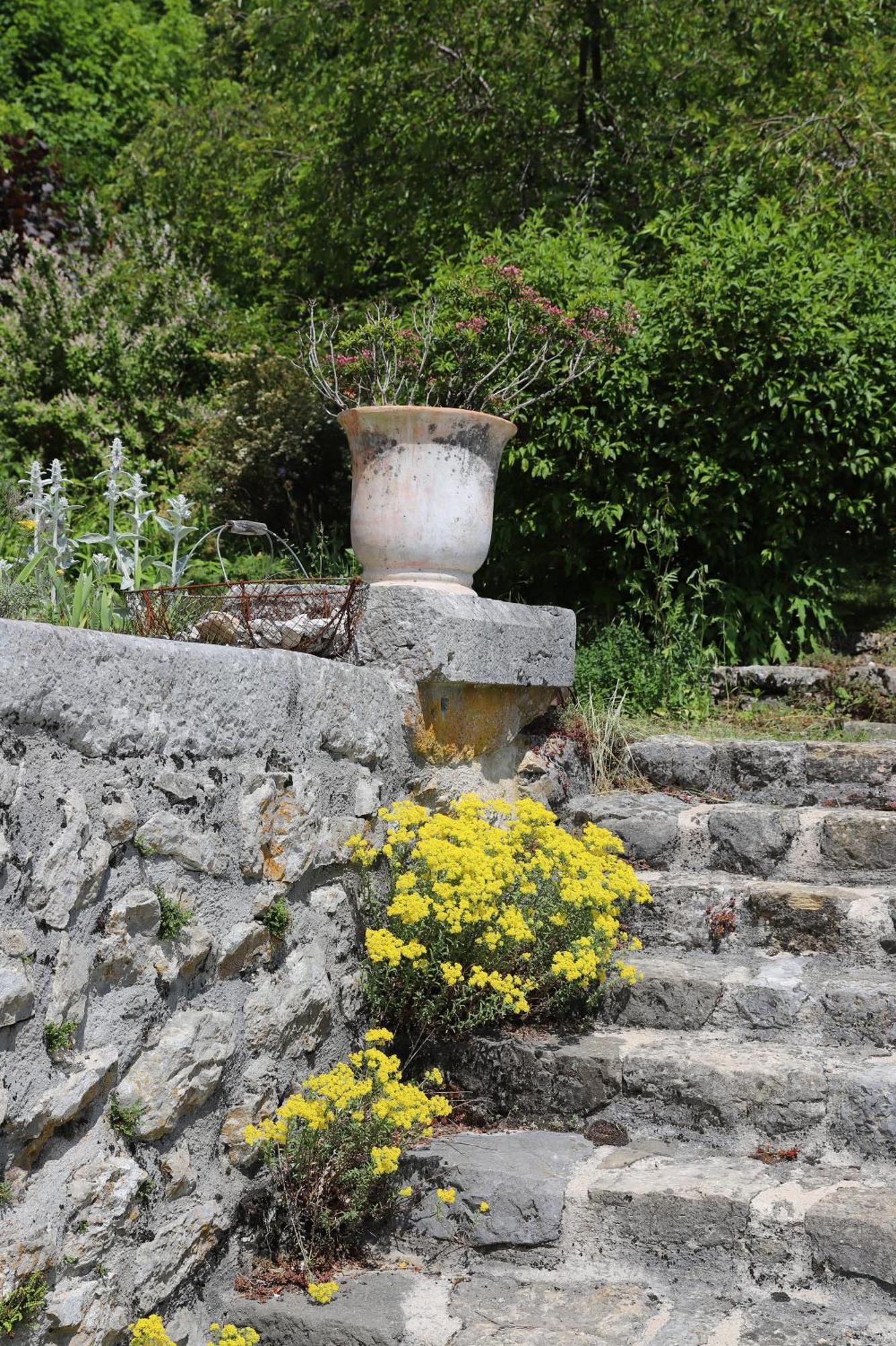 Chateau De Sothonod Luaran gambar